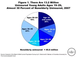 Age 18 and under 20%