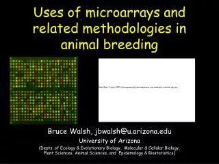 Uses of microarrays and related methodologies in animal breeding