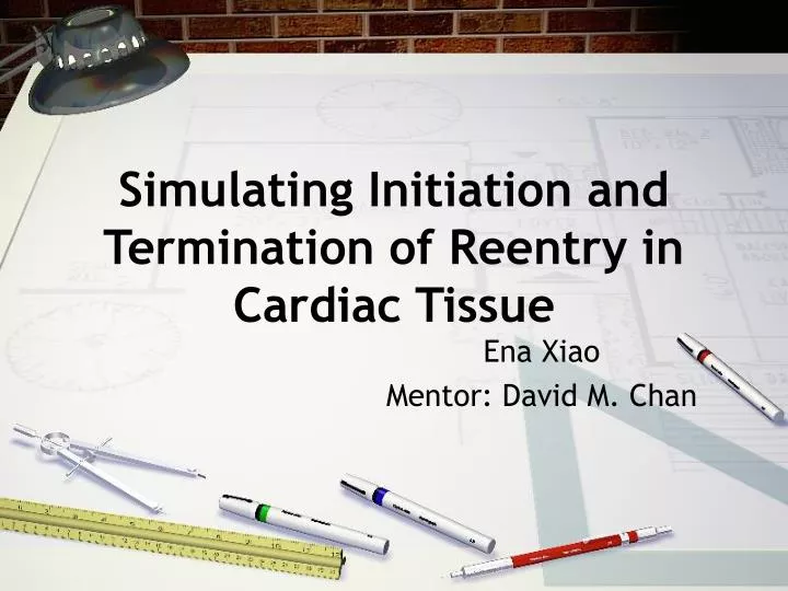 simulating initiation and termination of reentry in cardiac tissue