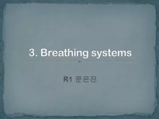 3. Breathing systems