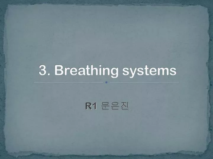3 breathing systems