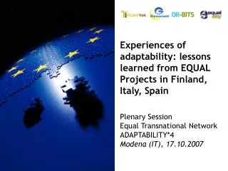 Experiences of adaptability: lessons learned from EQUAL Projects in Finland, Italy, Spain