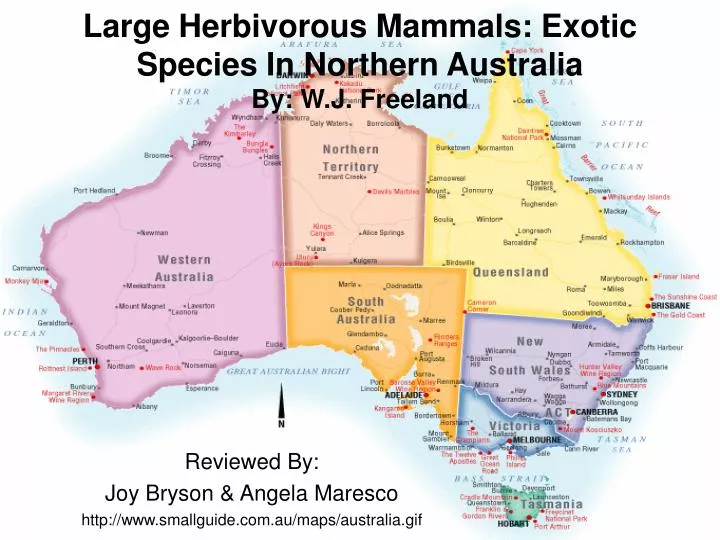 large herbivorous mammals exotic species in northern australia by w j freeland