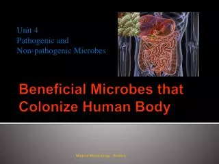 Beneficial Microbes that Colonize Human Body
