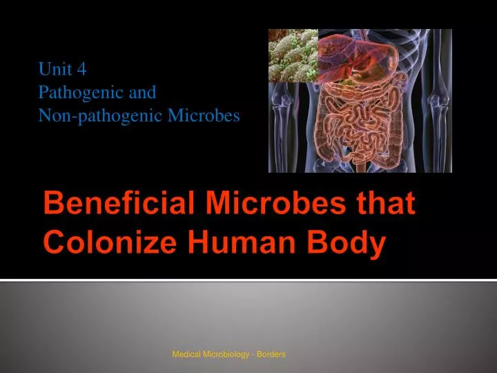 beneficial microbes that colonize human body