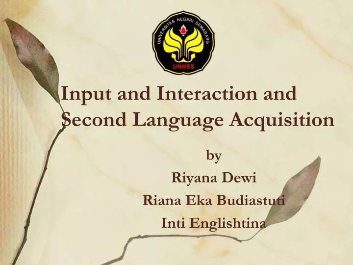 input and interaction and second language acquisition