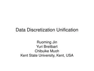 Data Discretization Unification