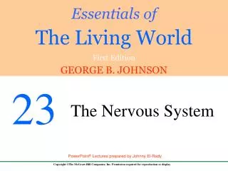 23.1 Evolution of the Animal Nervous System