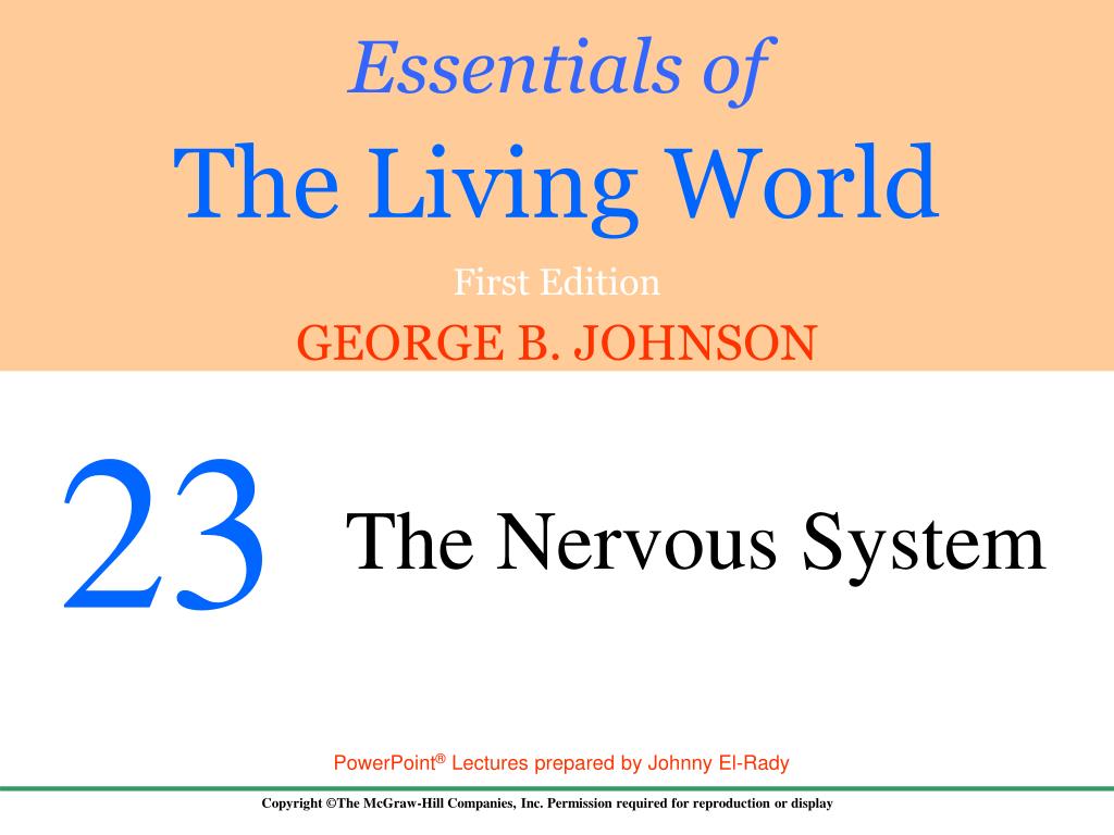 PPT - 23.1 Evolution of the Animal Nervous System PowerPoint ...