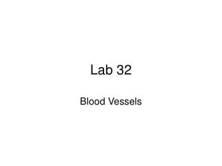 Lab 32