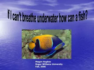If I can't breathe underwater how can a fish?