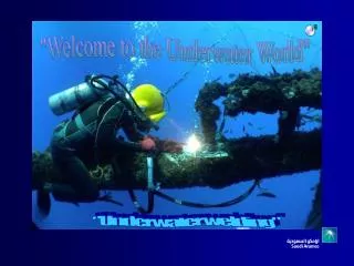 &quot;Welcome to the Underwater World&quot;