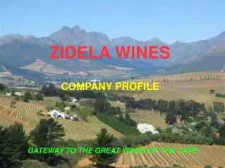 ZIDELA WINES