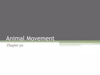 Animal Movement