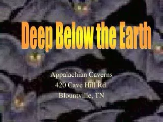 Appalachian Caverns 420 Cave Hill Rd. Blountville, TN