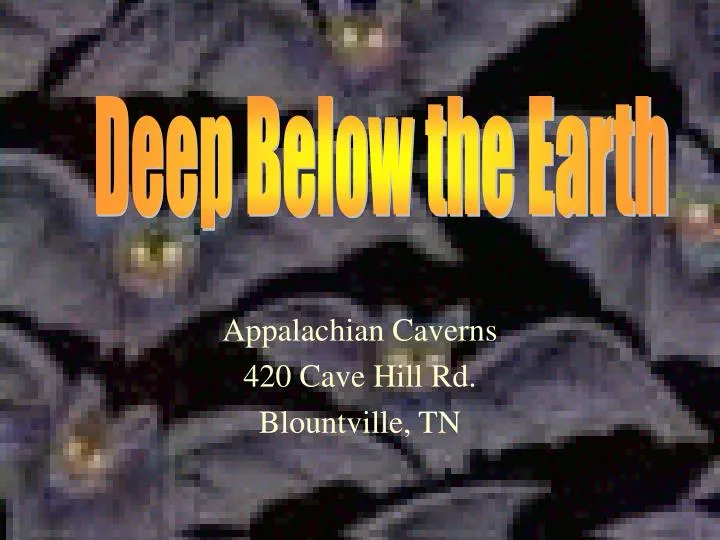 appalachian caverns 420 cave hill rd blountville tn