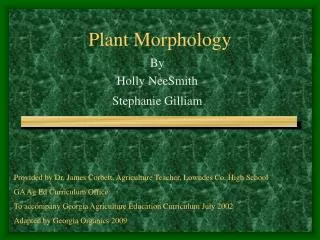 plant morphology