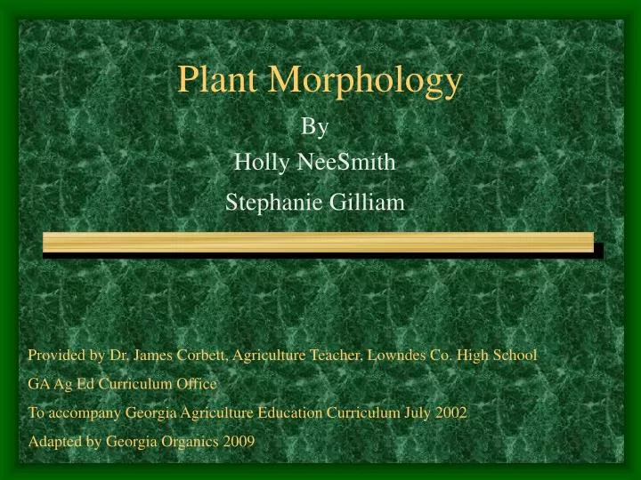 plant morphology