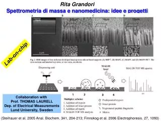 Rita Grandori Spettrometria di massa e nanomedicina: idee e progetti