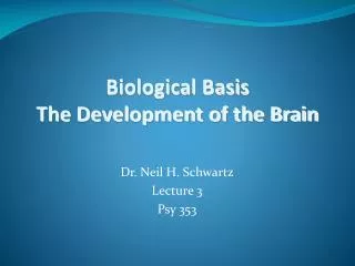 Biological Basis The Development of the Brain