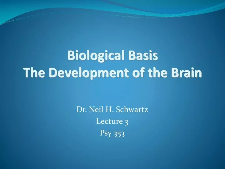 biological basis the development of the brain