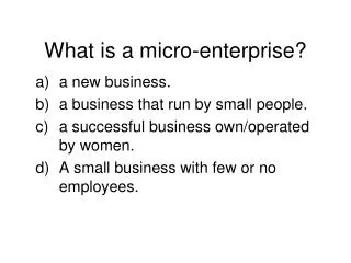 What is a micro-enterprise?