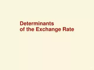 Determinants of the Exchange Rate