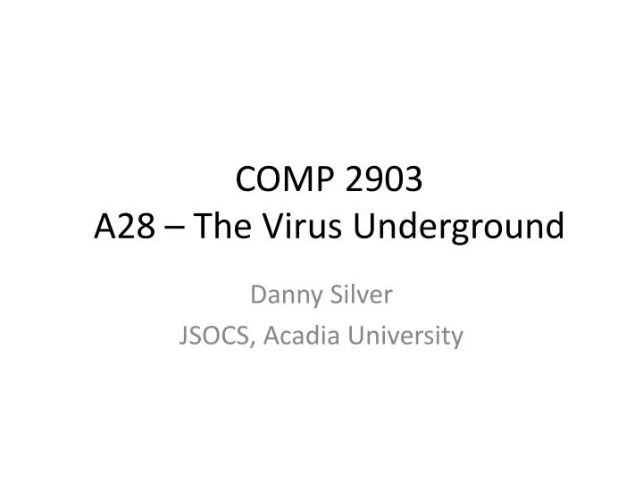 comp 2903 a28 the virus underground