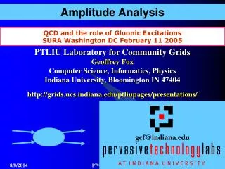 Amplitude Analysis