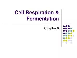 Cell Respiration &amp; Fermentation