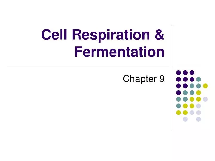 cell respiration fermentation
