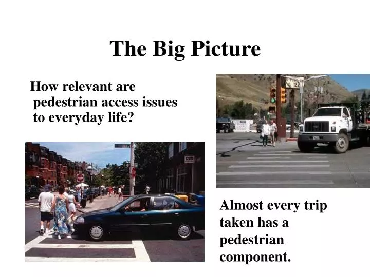 the big picture