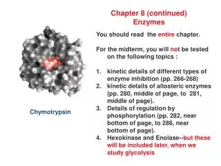 Chapter 8 (continued) Enzymes
