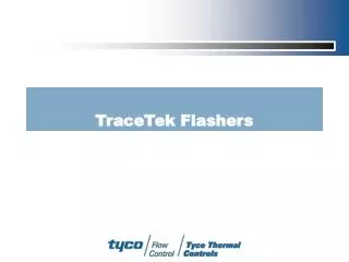 TraceTek Flashers