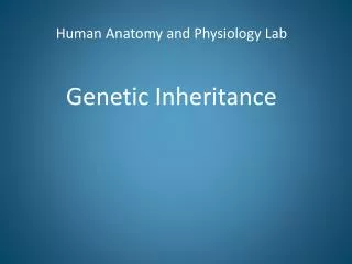 Human Anatomy and Physiology Lab Genetic Inheritance