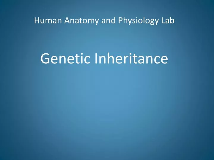 human anatomy and physiology lab genetic inheritance