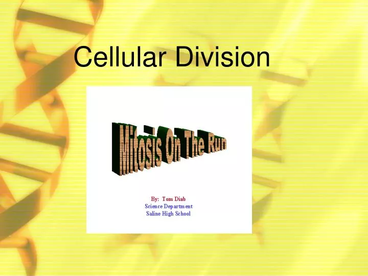 cellular division