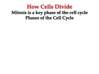 How Cells Divide Mitosis is a key phase of the cell cycle Phases of the Cell Cycle