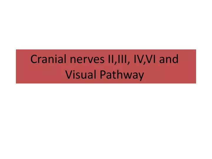 cranial nerves ii iii iv vi and visual pathway
