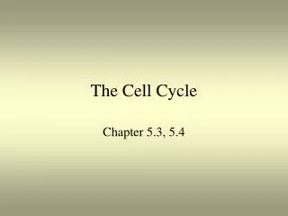 The Cell Cycle