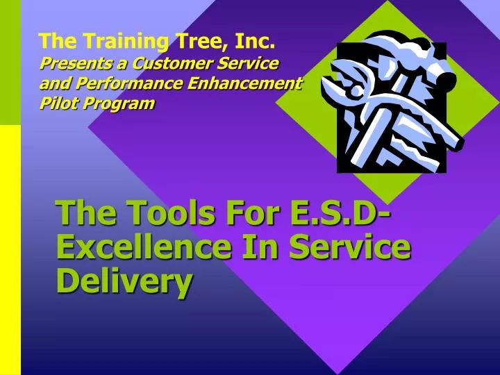 the tools for e s d excellence in service delivery