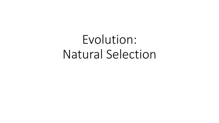 evolution natural selection