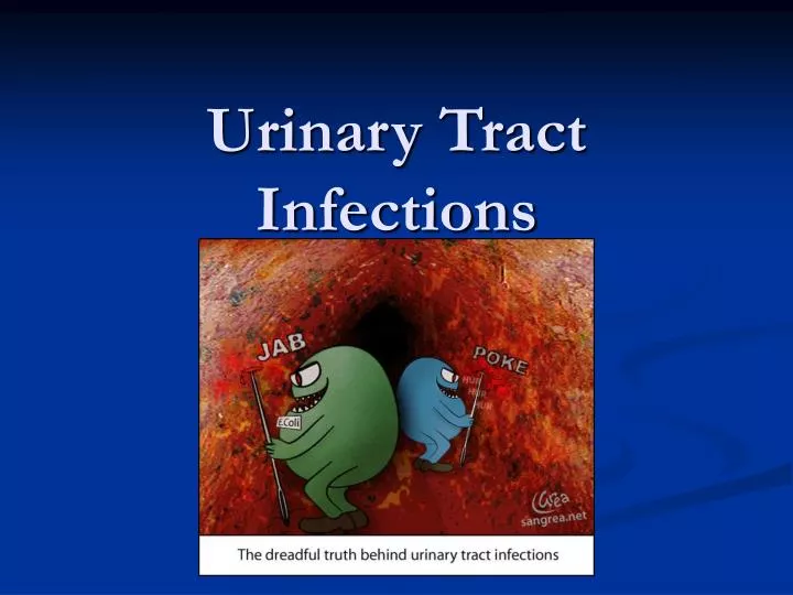 Ppt Urinary Tract Infections Powerpoint Presentation Free Download Id3014445 6092