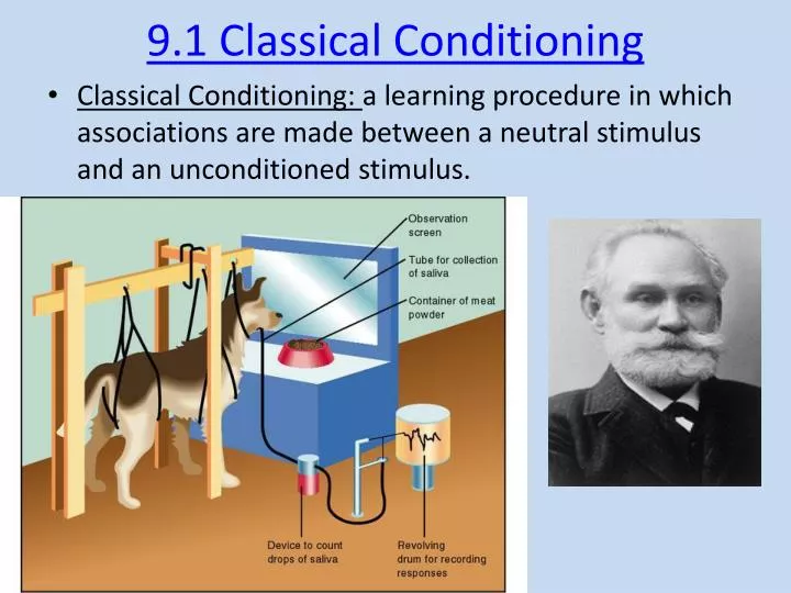 9 1 classical conditioning