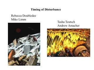 Timing of Disturbance