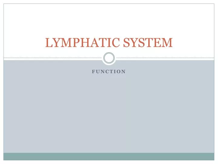 lymphatic system