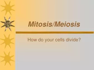 Mitosis/Meiosis