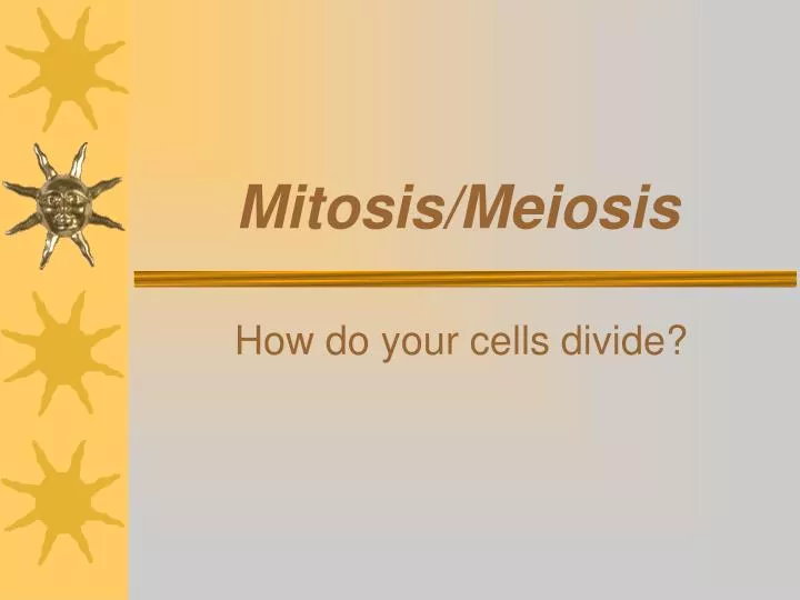 mitosis meiosis