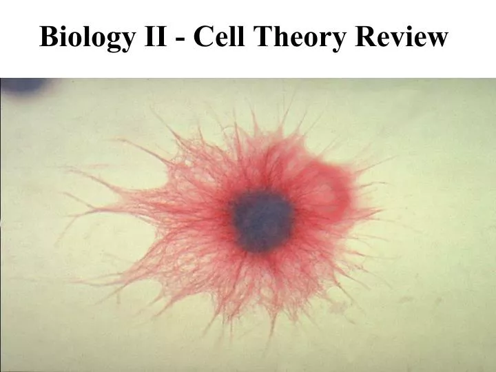 biology ii cell theory review