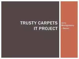 Trusty Carpets IT Project